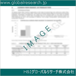 グローバルリサーチ調査資料のイメージ